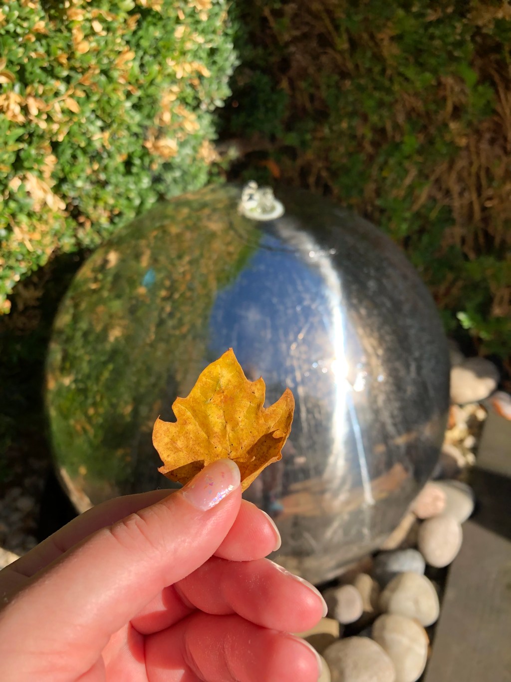 The Next Chapter: What The Earth Spirits Told Me