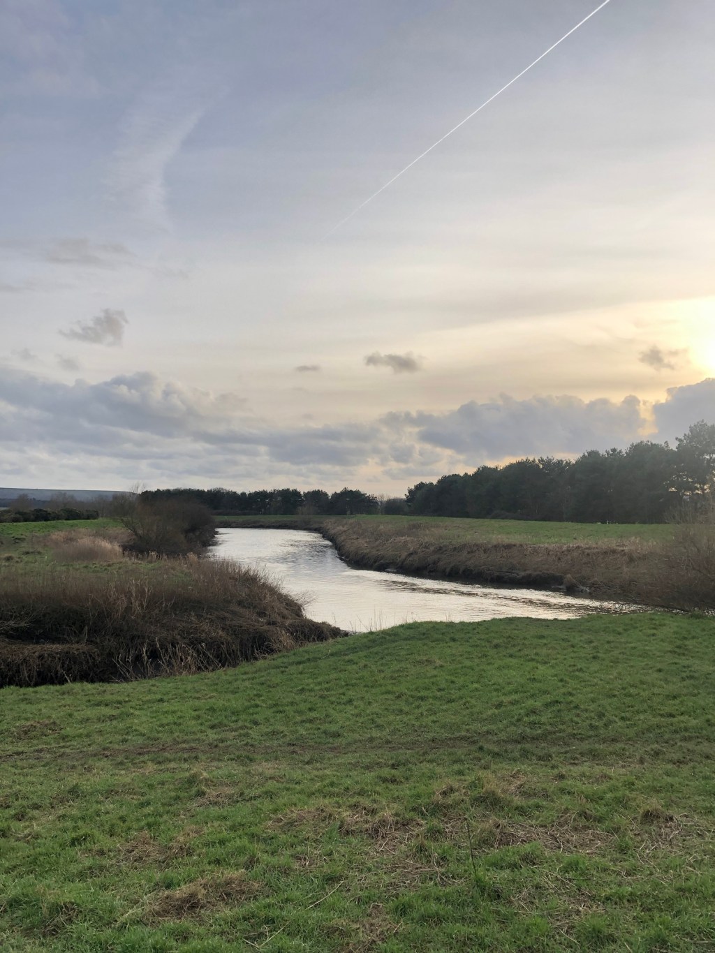 The River