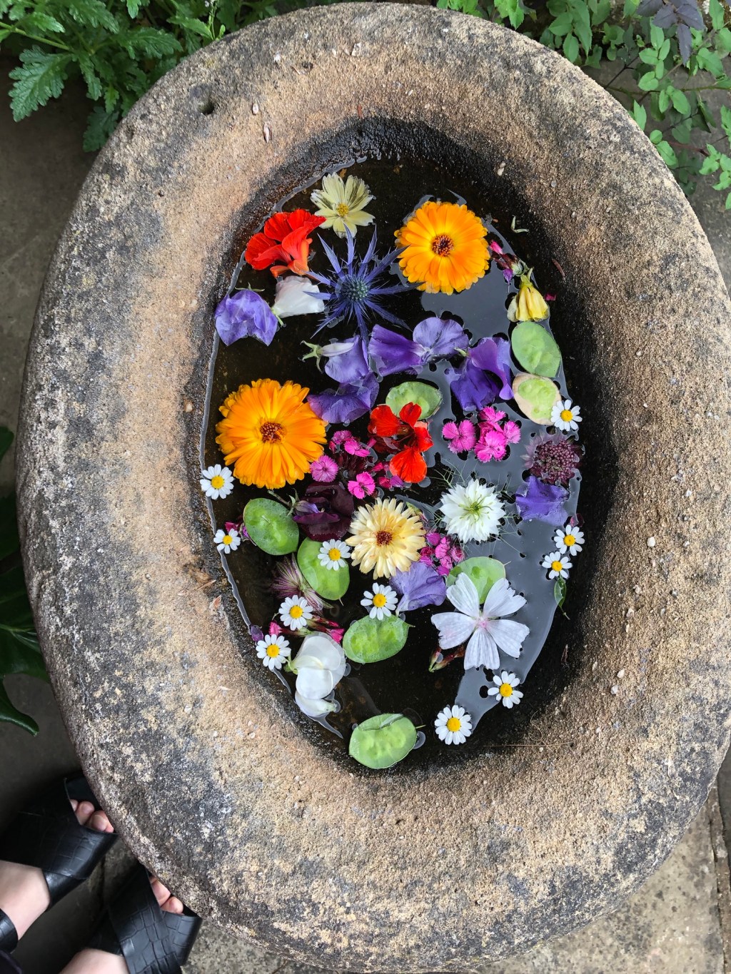 Come What Mayβ¦ 8. Pictures That Help Me Appreciate The Delicate Balance Between Humans & Nature This Beltane πΈ